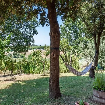 Sangiovese - Villetta Nella Campagna Toscana Abbadia di Montepulciano